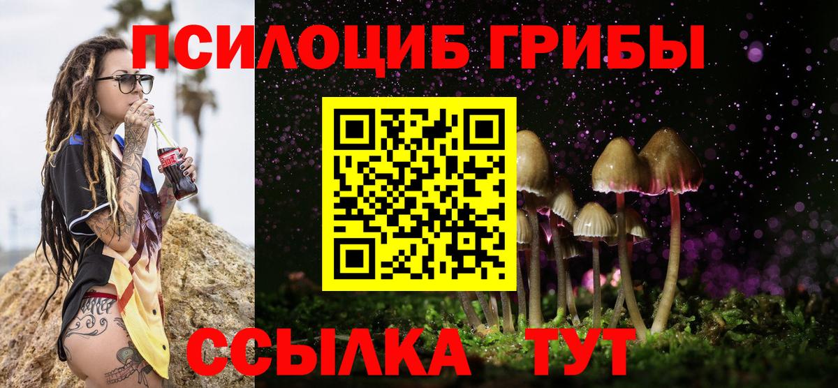Псилоцибиновые грибы GOLDEN TEACHER Тутаев